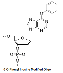 Bio-Synthesis Inc. Oligo Structure